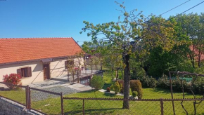Holiday in the National park Lovcen